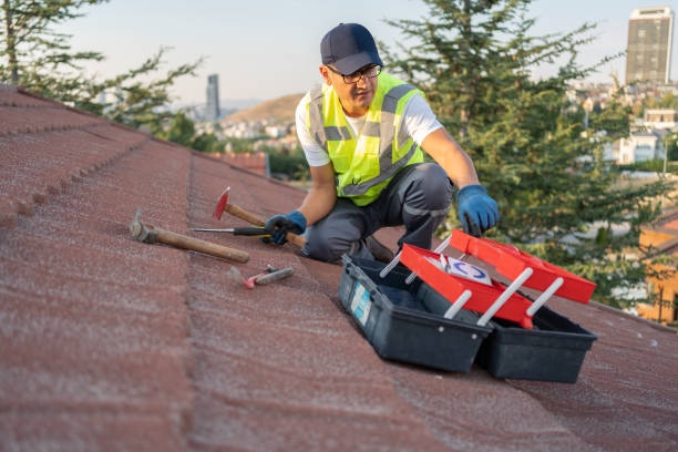 Best Brick Veneer Siding  in Somerville, MA